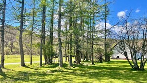 A grassy area with trees and a building in the background. - Heronlea Cottage -  Picturesque Scottish setting, 4 guests, pet friendly,  (Dunoon)