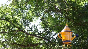 A house with a blue exterior, white porch, and a garden with a bird feeder. - Barby Haus (Bellville)
