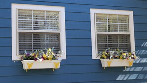 Two windows with white frames and shutters, each with a white flower box containing various flowers. - Barby Haus (Bellville)