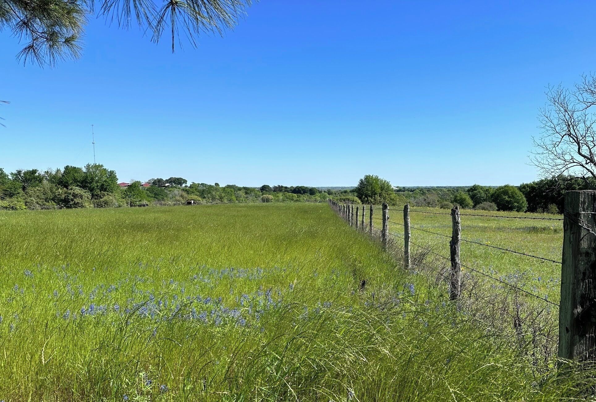 Un paysage rural avec un champ, une clôture en bois et des arbres en arrière-plan.