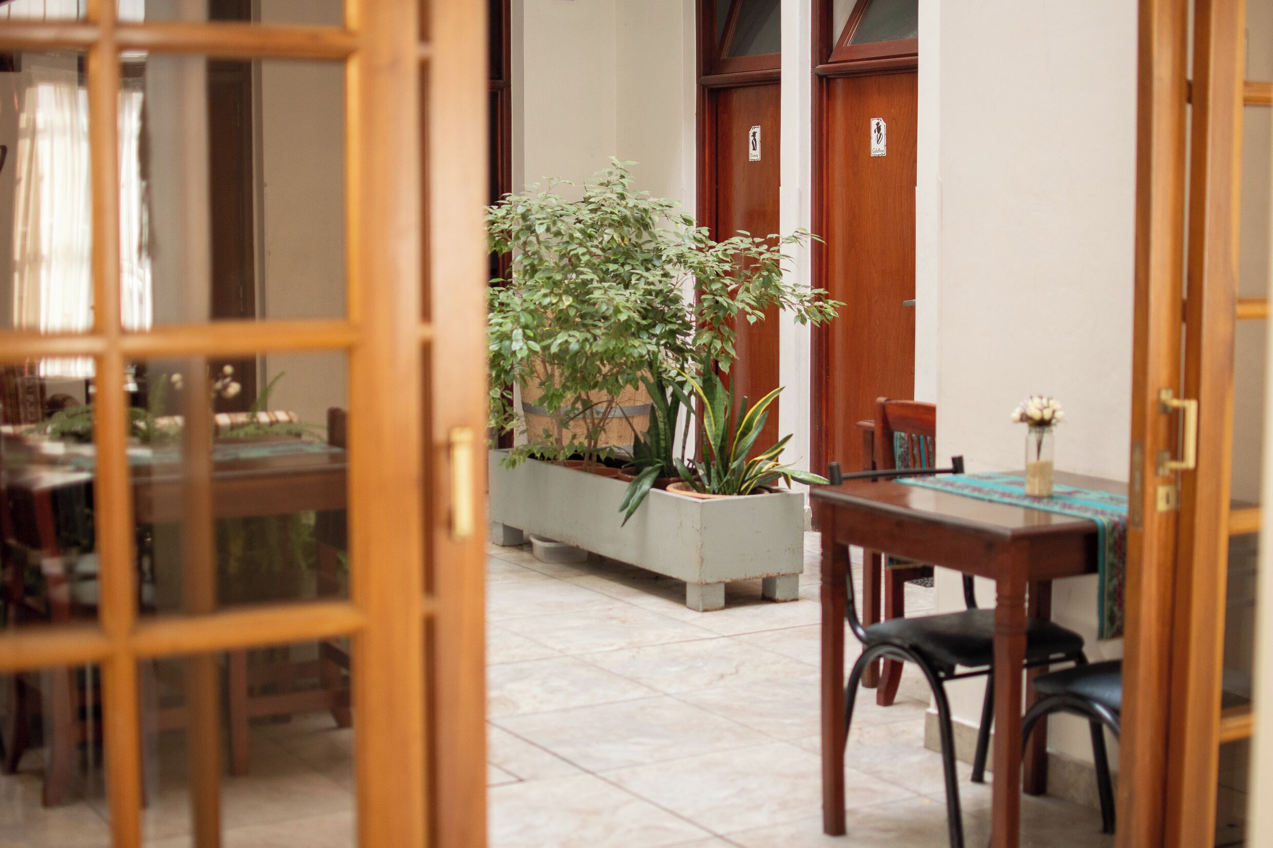 A dining area with a wooden table and chairs, a potted plant, and a tiled floor.