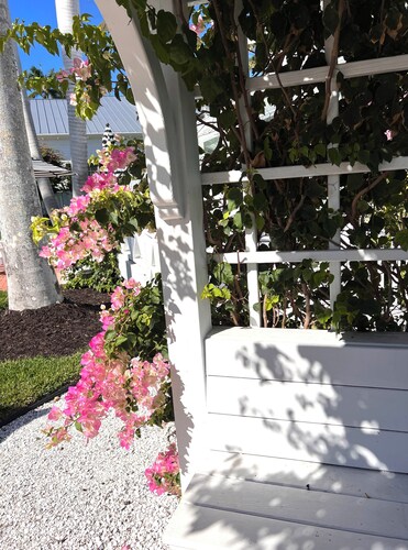 Romantic Cottage -2 Blocks to the Beach, 5th Street and 3rd Ave. S - Cottage B