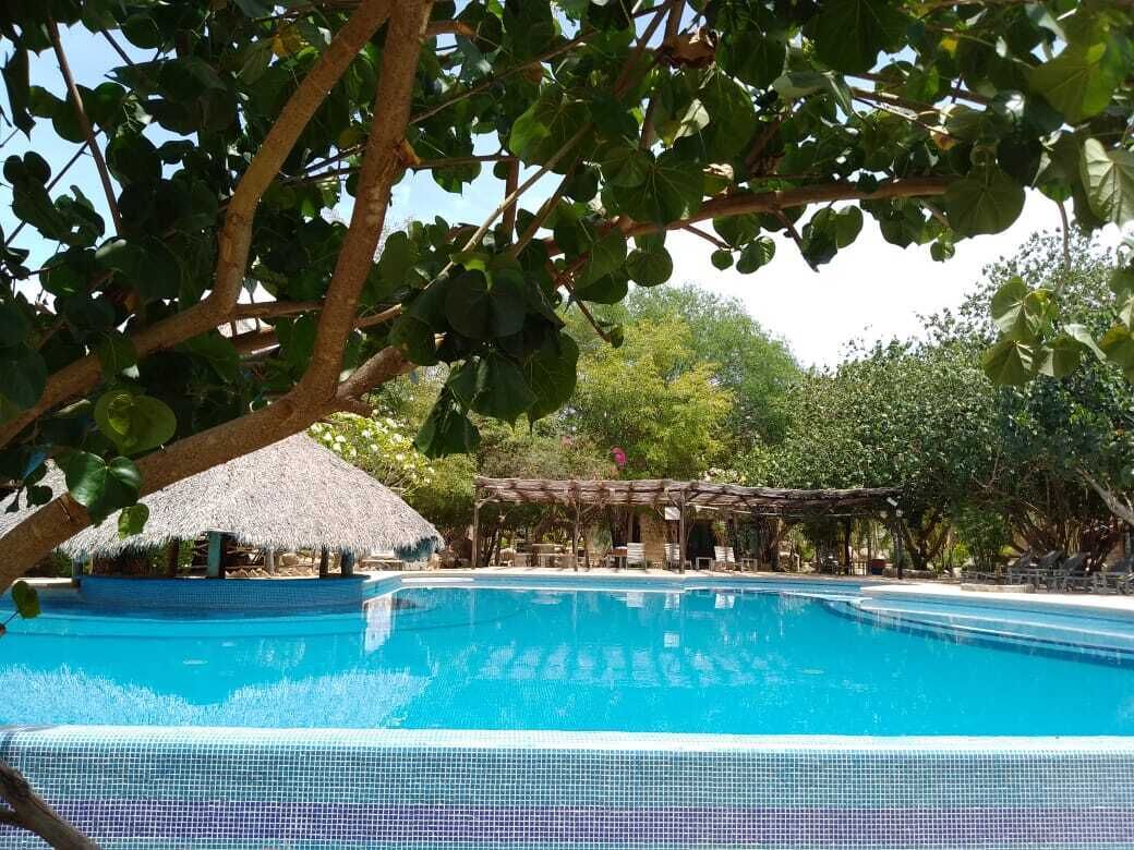 季節性室外泳池