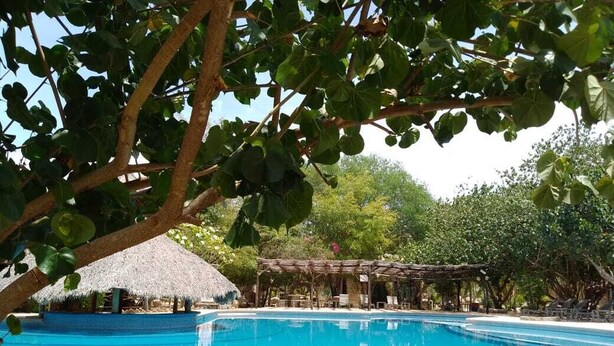 A swimming pool with a thatched-roof structure and a covered seating area in a lush, green setting. - Las Chalatas (El Fuerte)
