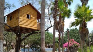 A wooden treehouse with a platform and a small balcony, surrounded by palm trees and a stone pathway. - Las Chalatas (El Fuerte)