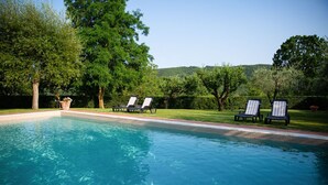 Une piscine rectangulaire à l’eau d’un bleu limpide, entourée d’une pelouse bien entretenue et d’arbres. Des chaises longues sont alignées le long du bord de la piscine.