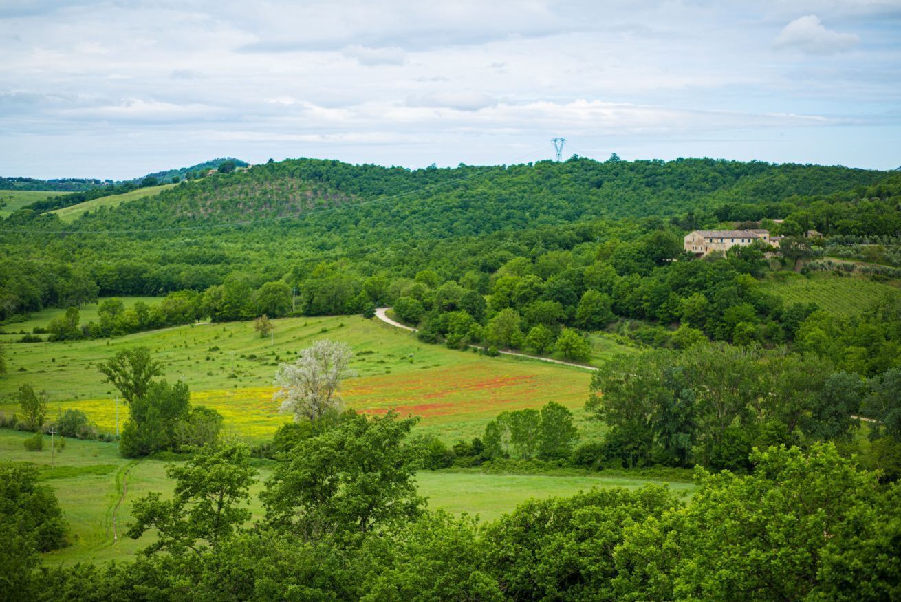 A lush green landscape with rolling hills, a winding path, and a building on a hill.