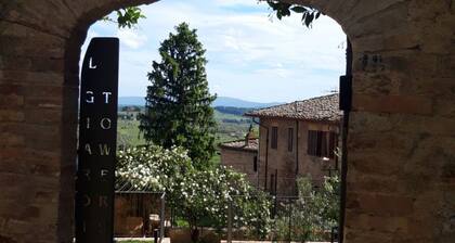 The Tower's Garden- private garden in the heart of town