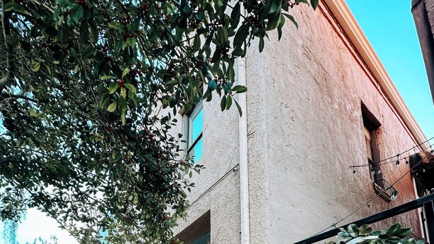 Vista de una calle con un edificio que tiene una jardinera grande con plantas, una cerca de metal negro y un cielo despejado.