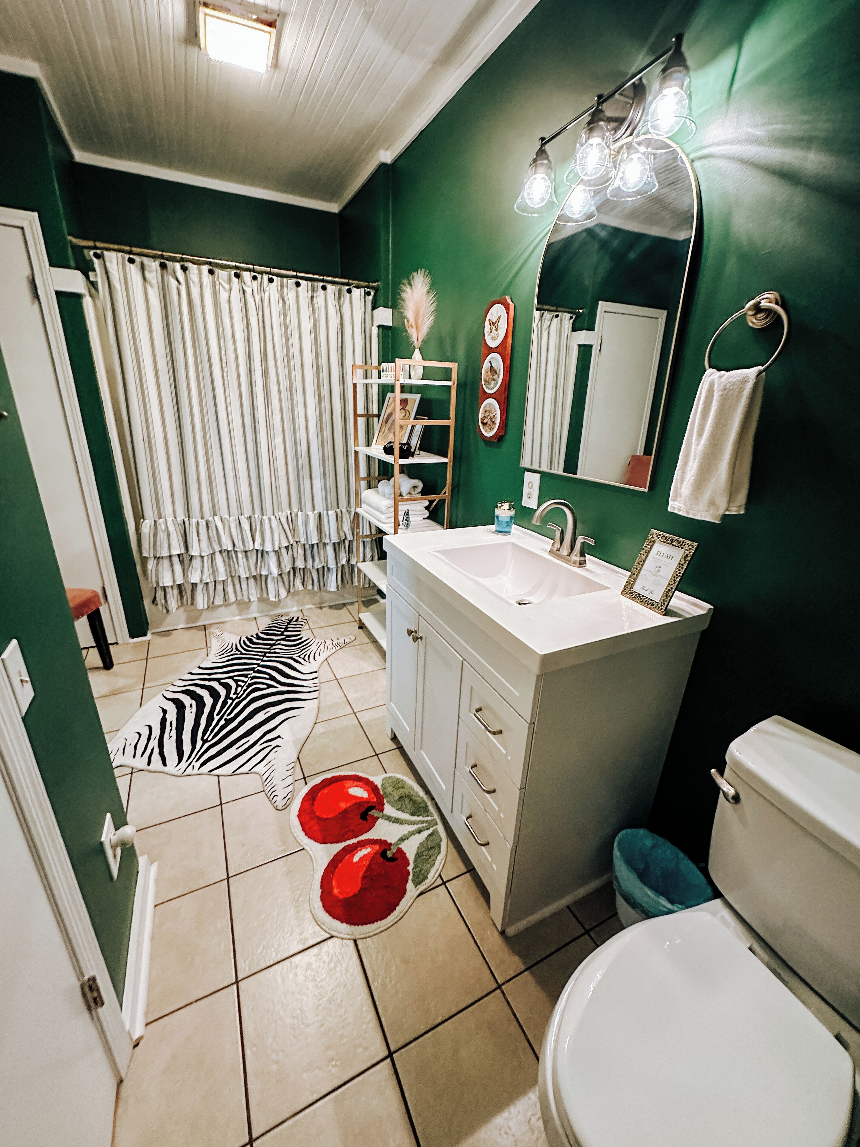 Een badkamer met een zebra vloerkleed, een witte wastafel, een toilet en een groene wand.