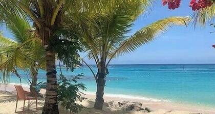 Beachfront Cozy Studio Apartment