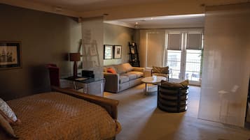 TV connectée, cheminée, lecteur de DVD, livres