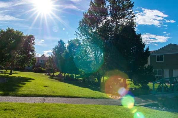 Àrea exterior de l'allotjament