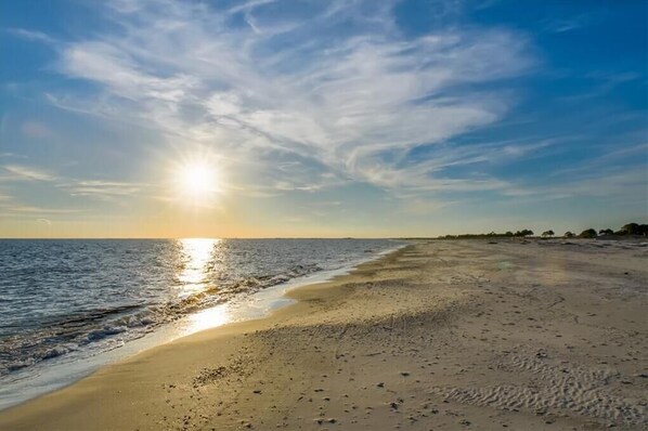 Sun-loungers, beach towels - Coastal Vibe for 12 : Ocean V: Bikes: Pet Friendly: Amenities: Comfort & Style (Dauphin Island)