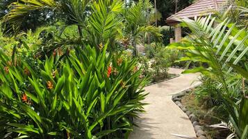 Terrein van de accommodatie