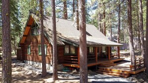 A log cabin with a porch and steps leading up to the entrance, surrounded by tall trees.