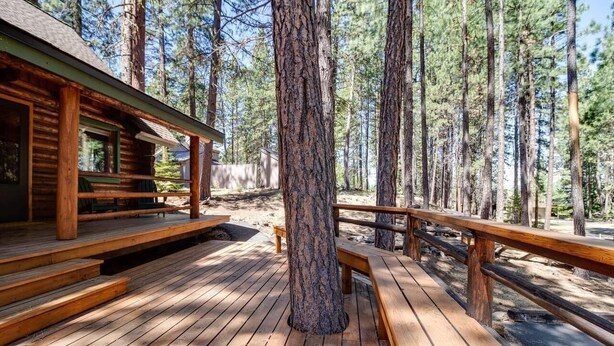 A wooden deck with benches, surrounded by tall pine trees.