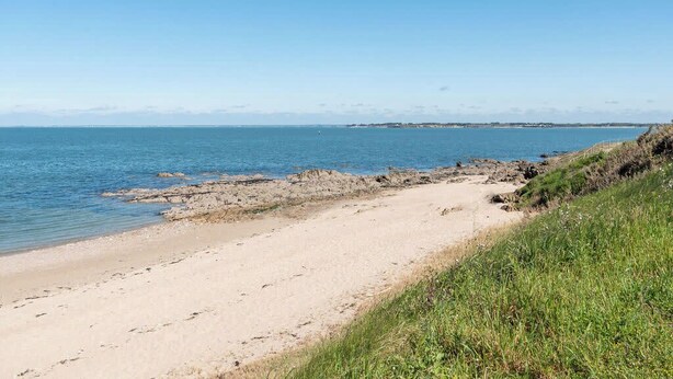 Een zandstrand met helderblauw water en een gazon.