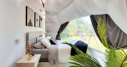Modern Luxury Geodome (No Pets) - Unique Escapes "Modern Luxury" Catskills Geodome!