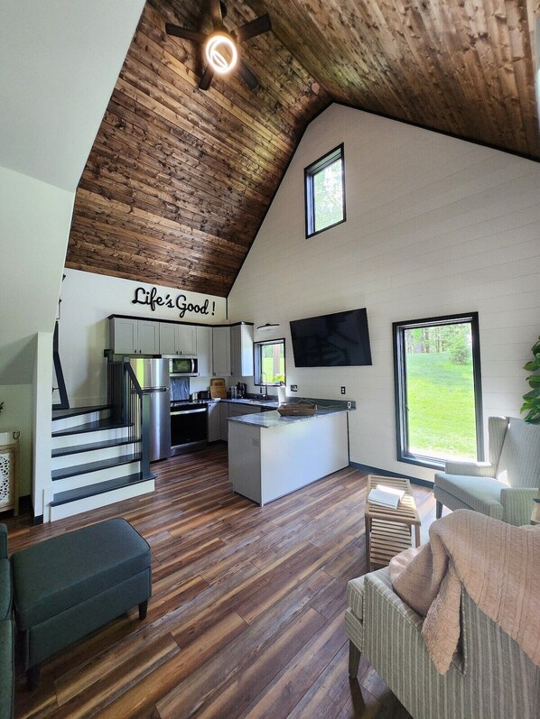 TV, stereo, offices - Life's Good Creek Side Retreat (Brevard)