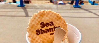 Seabird of Trearddur Bay Anglesey