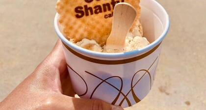 Seabird of Trearddur Bay Anglesey