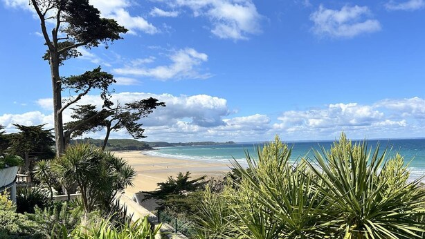 Vista de playa con cielo despejado, arena dorada y varias plantas verdes al frente.