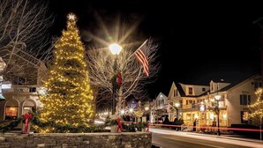 A Christmas tree decorated with lights and ornaments, a stone planter, and a building with a sign that reads "The Inn of the Pines."