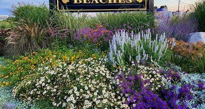 Sunny, private apartment. Walk to Kennebunk Village. Close to beaches.