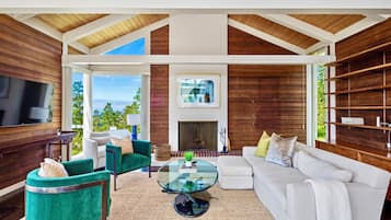 Smart TV, fireplace, books, stereo