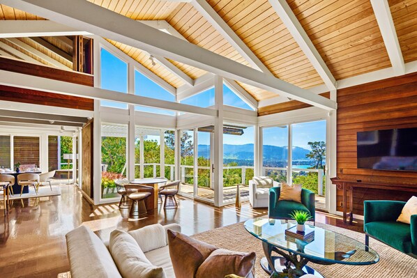 Smart TV, chimenea, libros, estéreo