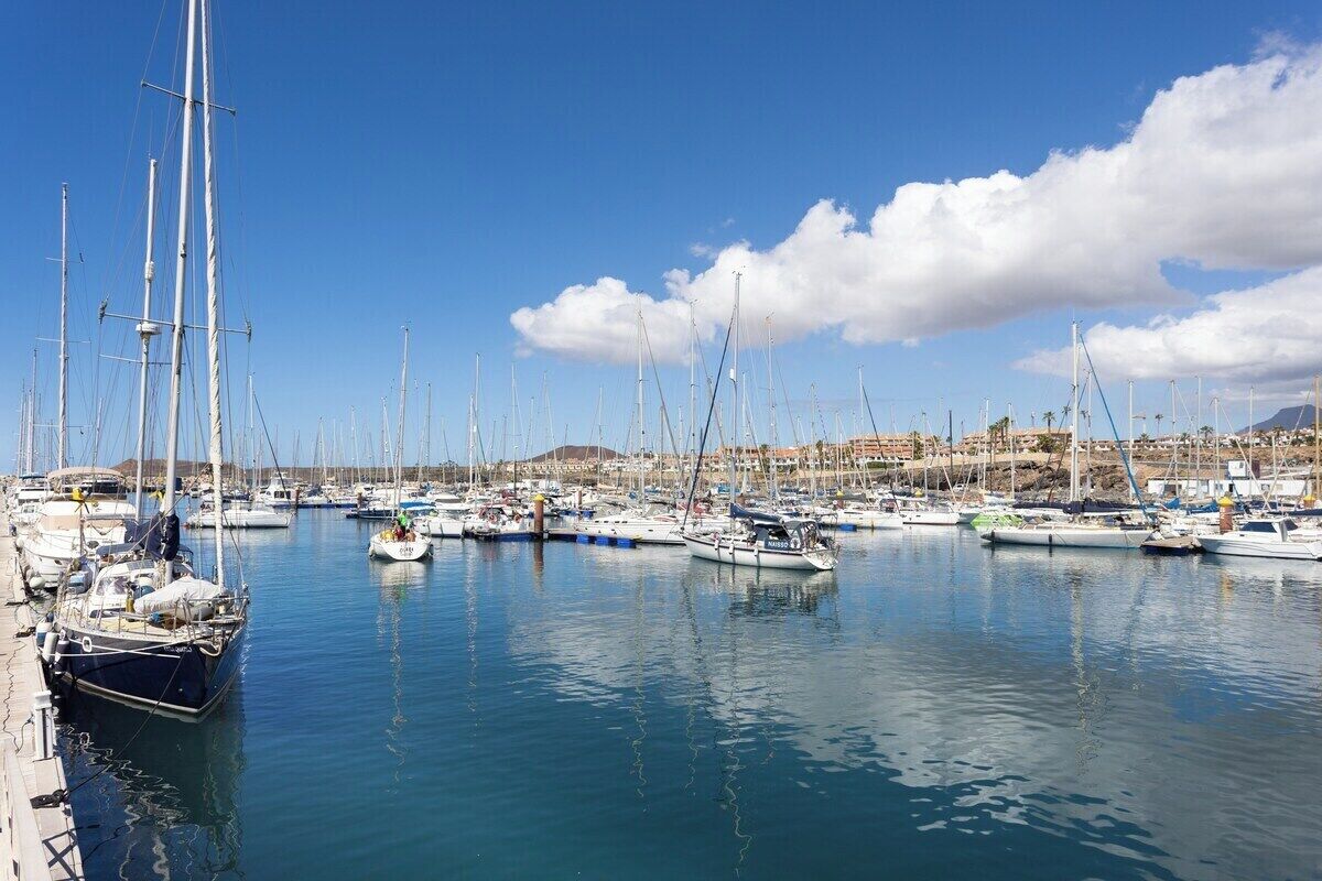 Un puerto deportivo con varios veleros amarrados, cielo despejado y un pueblo a lo lejos.