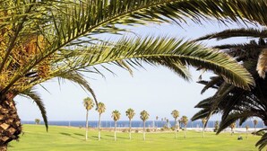Een golfbaan met palmbomen en uitzicht op de oceaan.