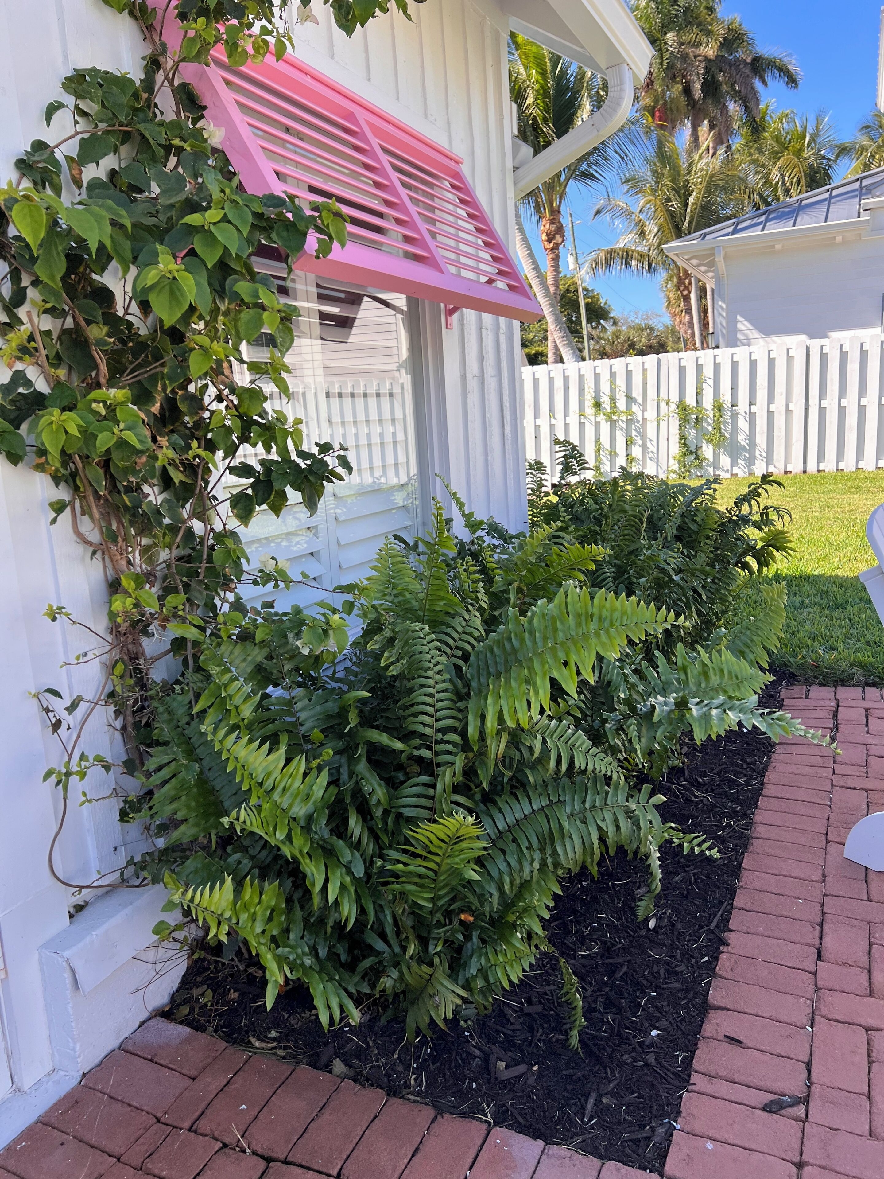 A white house with a pink awning, a white fence, and lush greenery including ferns and climbing plants.