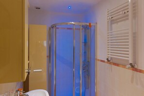 Shower, hair dryer, bidet, towels