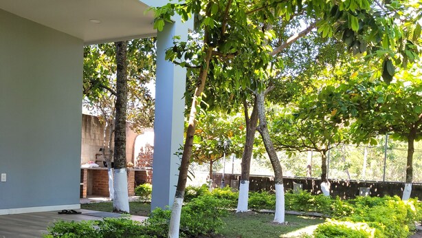 A courtyard with a water feature, trees, and a building with columns.