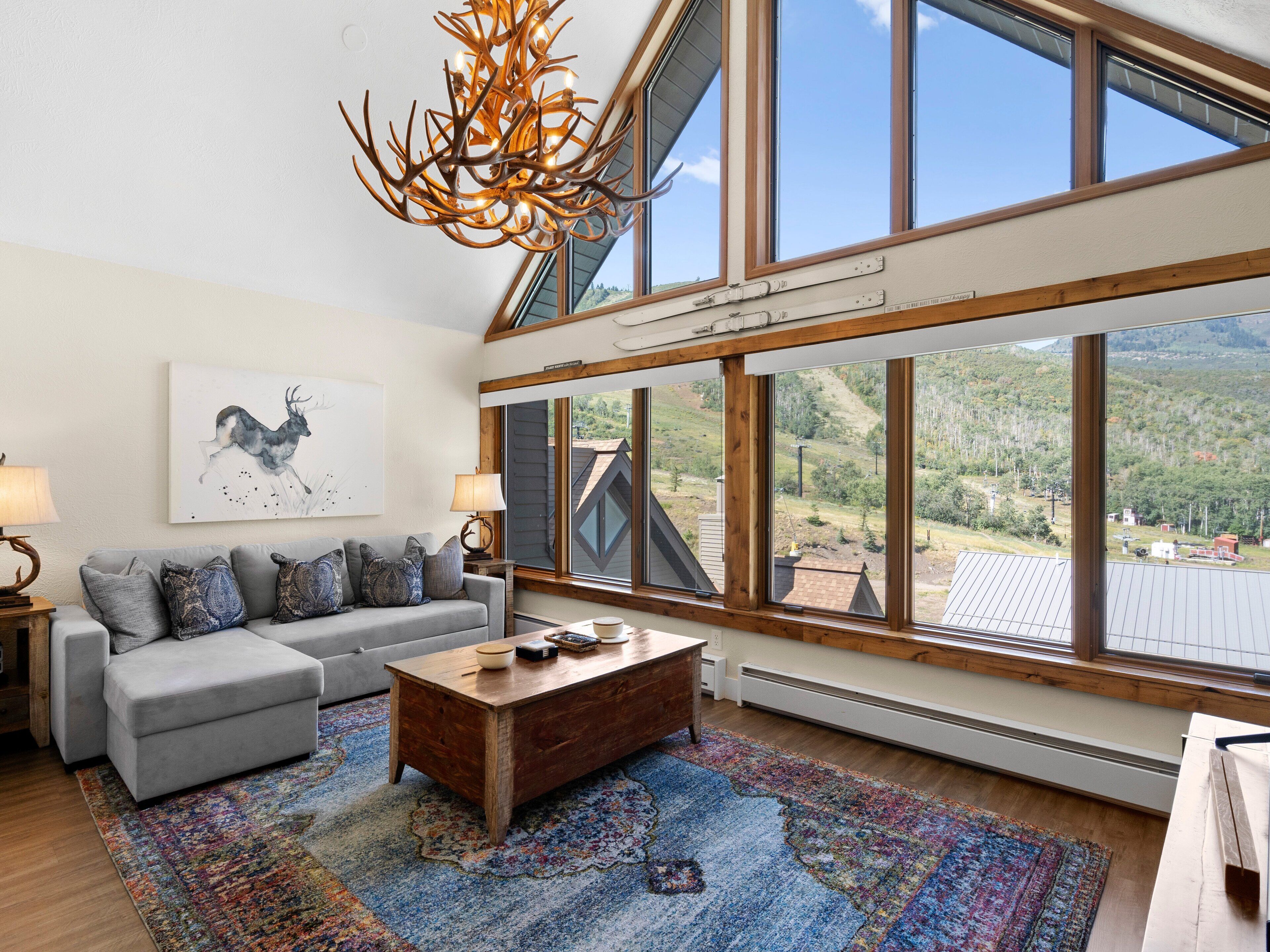 智能电视、壁炉、DVD 播放器