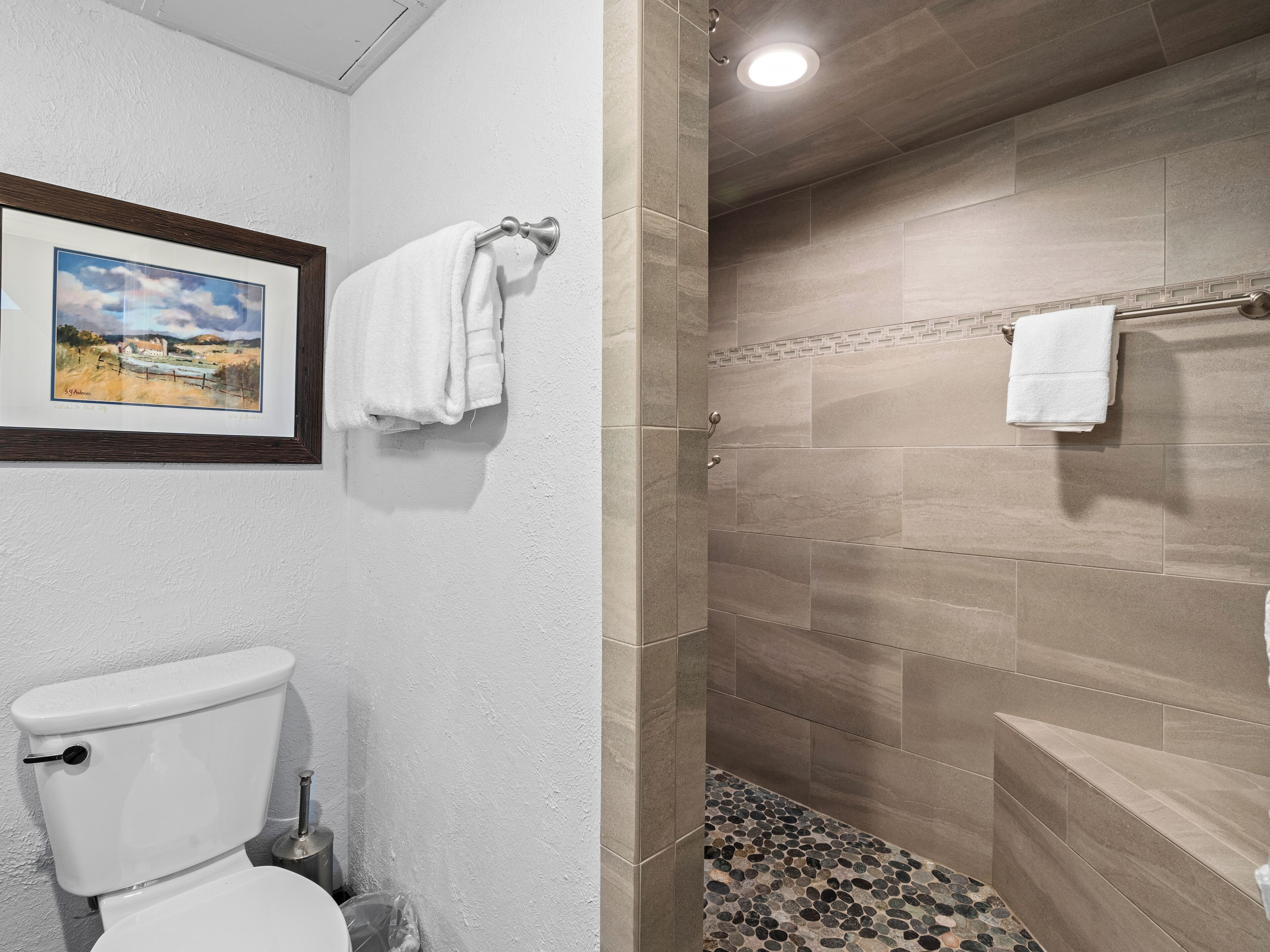 A bathroom with a toilet, a framed landscape painting, and a shower area with a tiled floor.
