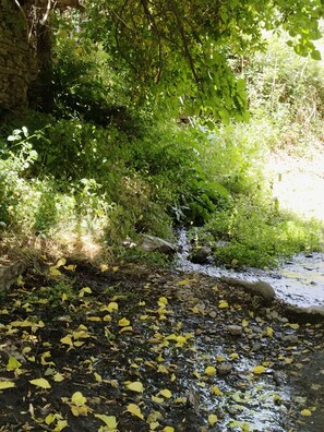 Terrain de l’hébergement