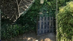 A garden with a heart-shaped wooden structure, a wooden fence, and dense foliage. - Chalet 'Strandliebe Bredene' with Private Terrace (Bredene)