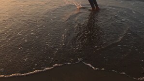 A person at the beach during sunset. - Chalet 'Strandliebe Bredene' with Private Terrace (Bredene)