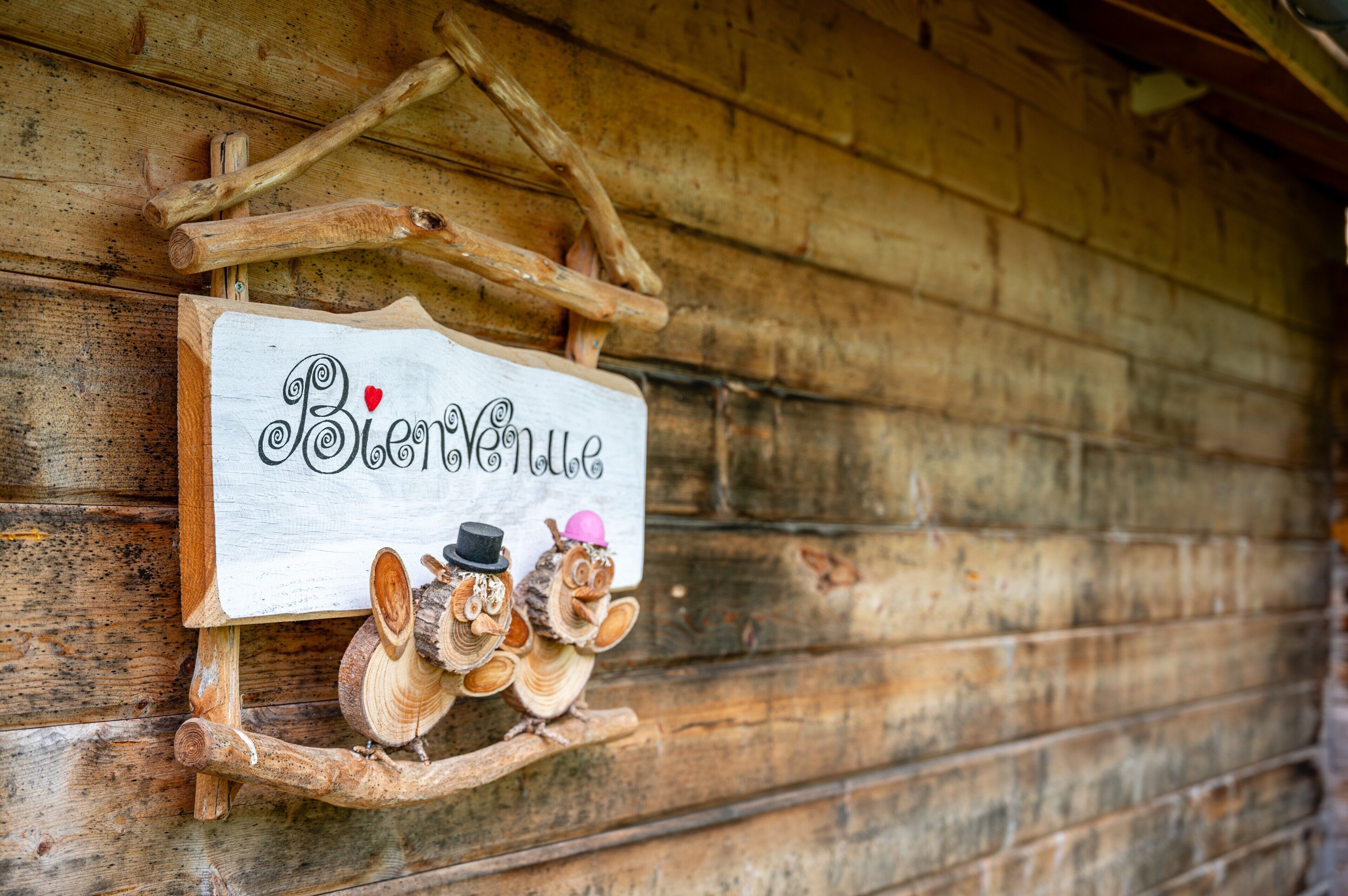 A wooden sign with 'Bienvenue' and two wooden owls with hats.