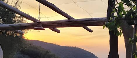 屋外ダイニングエリア