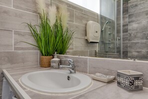 Shower, hair dryer, towels