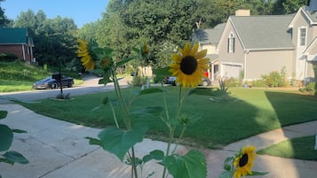 Àrea exterior de l'allotjament