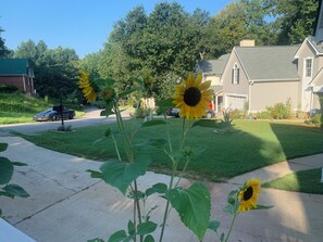 Àrea exterior de l'allotjament