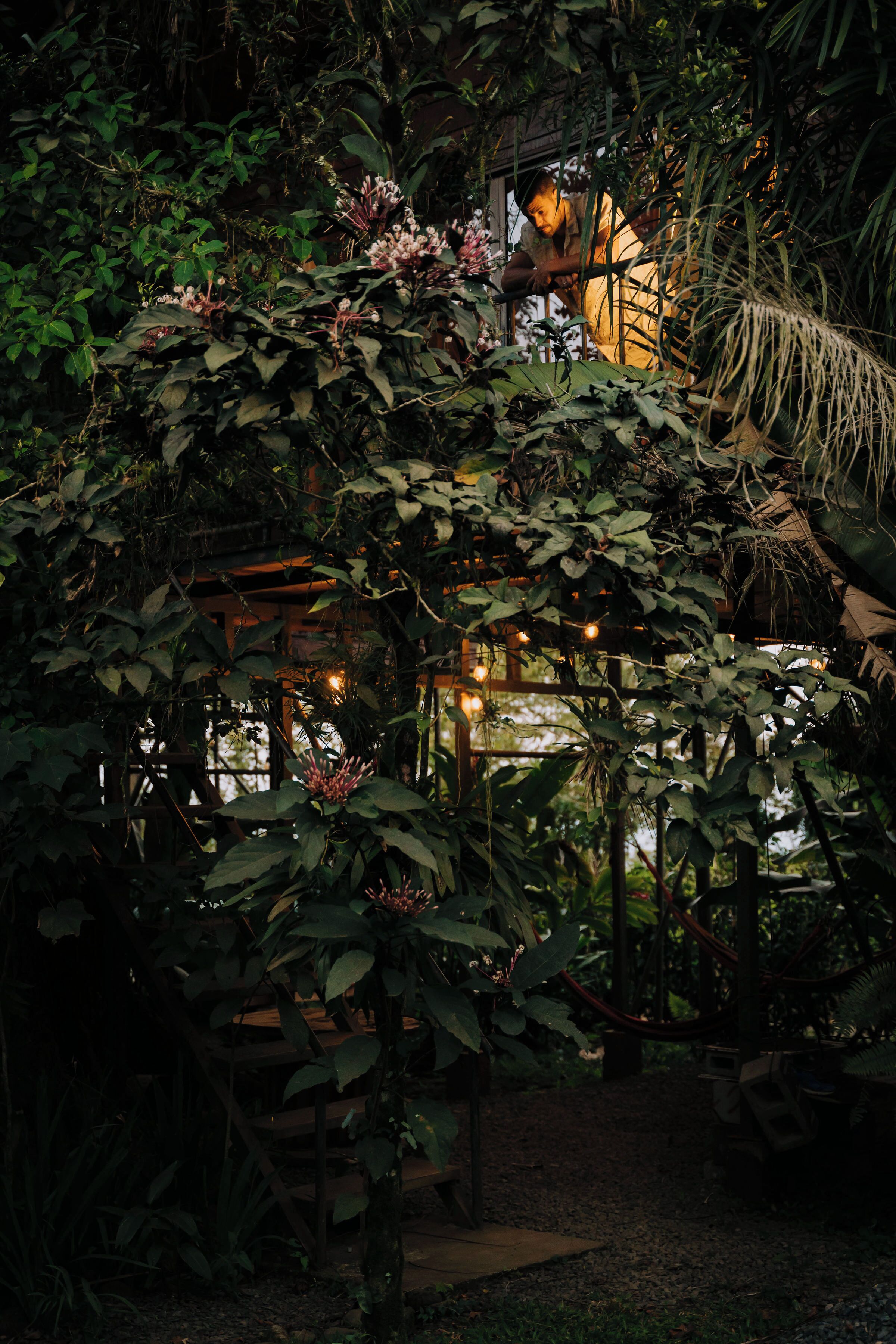 Cabane dans un arbre romantique | Terrasse/patio