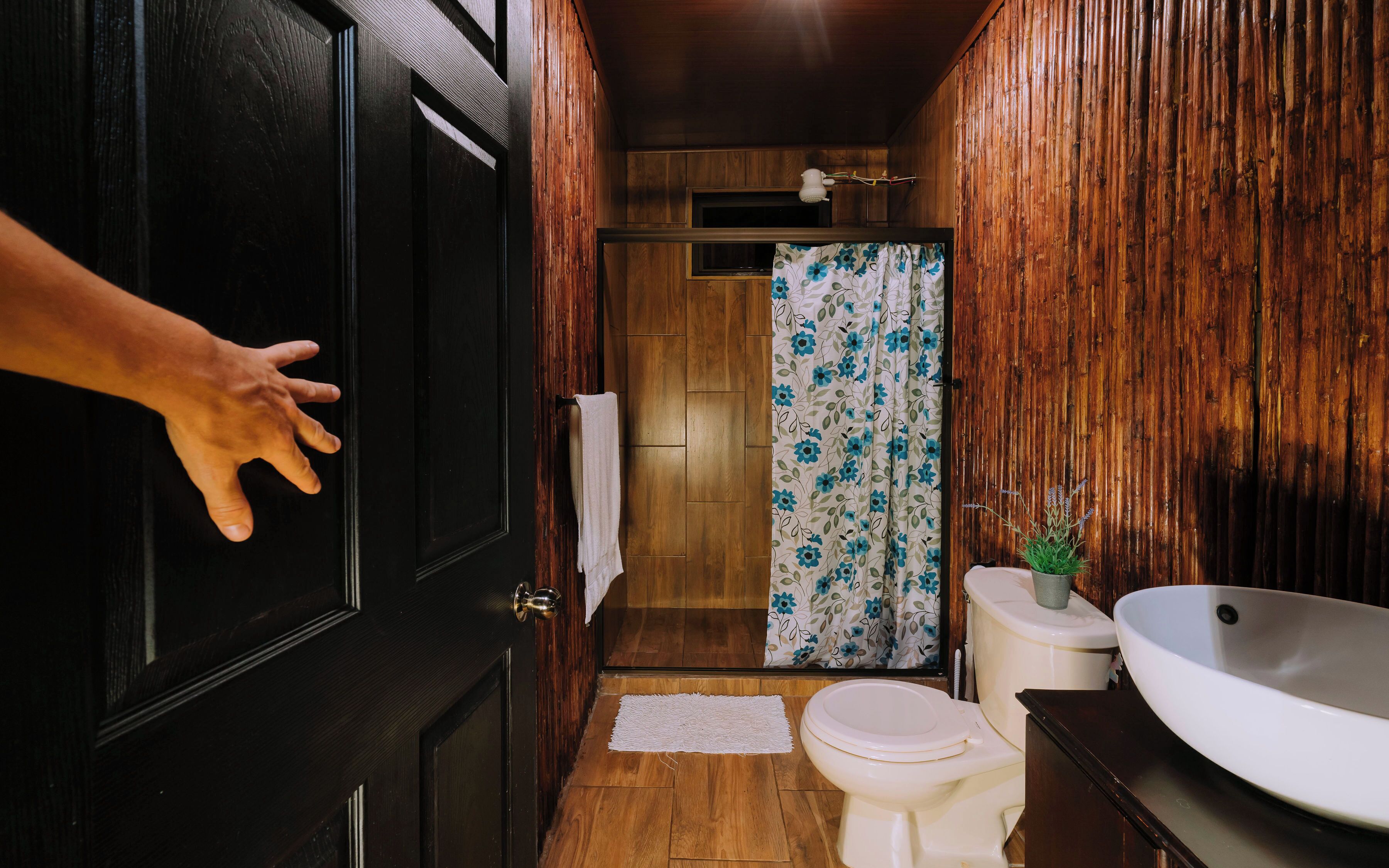 淋浴设施、毛巾、肥皂