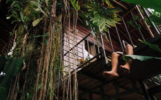 Romantic Tree House | Terrace/patio