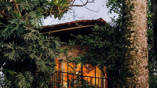 A house surrounded by dense tropical vegetation, with a visible wooden structure and a red roof. - Las Cabanas (Venecia)